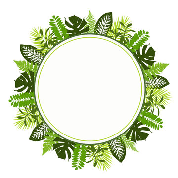 Tropical leaves background with white round banner. Palm,ferns,monsteras. Vector illustration