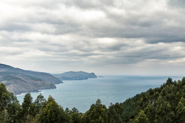 general landscape of beautiful and wild cliffs and pines along the coast