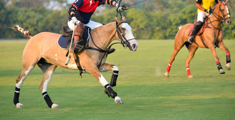 Polo player riding a horse during the match.