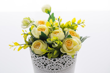 Trees, Flowers in pots on white background