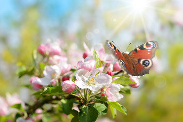 Frühling 444