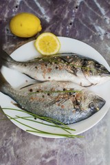 Fresh Raw Sea Bream Fish with Lemon on a Marble Background
