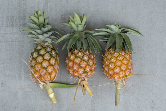 pineapple fruit on wood table, picec of pineapple fruit for diet healthy