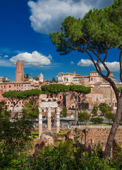 Caesar and Trajan Forum in Rome