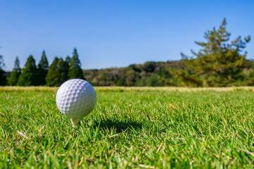 ゴルフ場 ゴルフボール ティーアップ