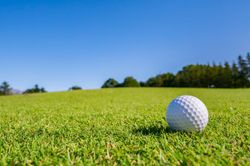 ゴルフ場 ゴルフボール フェアウェイ