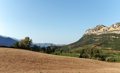 Corsica vineyard and Agriculture in Patrimonio hills