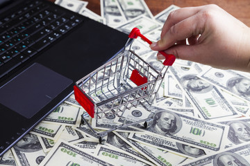 Shopping trolley with dollars and a female hand
