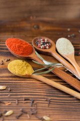 Various kind of spices in wooden spoon