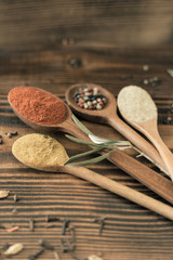 Various kind of spices in wooden spoon