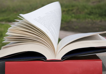 open book with flying pages