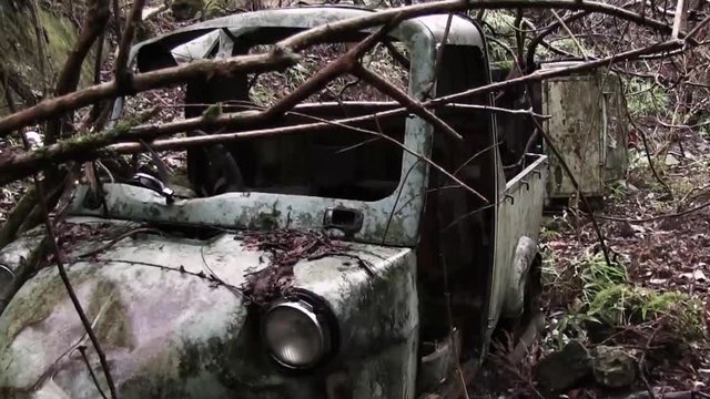 廃棄された自動車