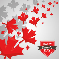 happy canada day greeting card maple leaves and label vector illustration