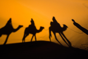 Fototapeta na wymiar Caravan traveling and camels shadows on the sand in Sahara desert