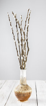 Branches of willows in a vase on a white wooden table. Strip's Photo. Minimalism