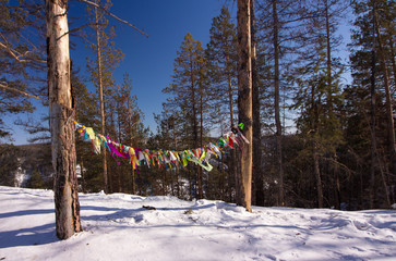 at the lena pillars