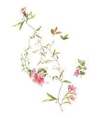 Fototapeta premium watercolor painting of leaves and flower, on white background