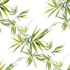 Fototapety  Akwarela ilustracja liści bambusa, wzór na białym tle