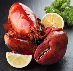 Red lobster with lemon and green on black wooden background