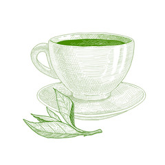 Tea cup with green tea and tea leaf.
