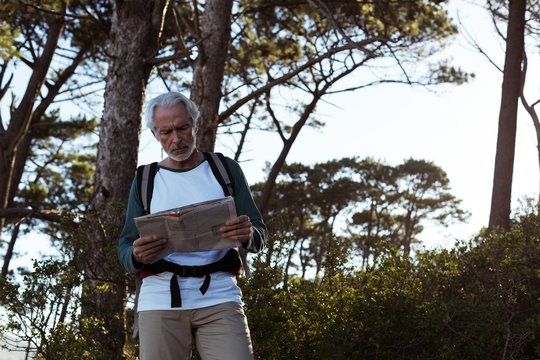 Senior hiker looking at map in forest
