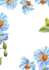 Blue herb flower frame. Watercolor floral illustration. Floral decorative element. Floral background.
