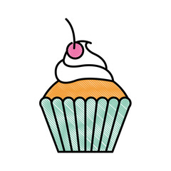 sweet cupcake pasry delicious cream cherry vector illustration