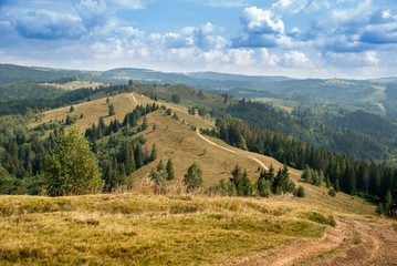 Fototapeta na wymiar Polonine in the Carpathians