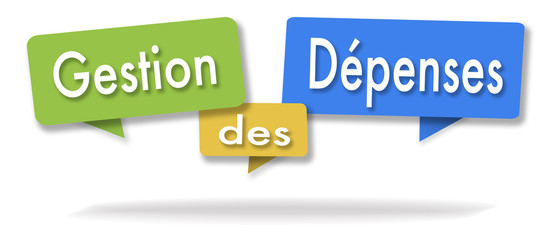 Expenditure management illustration in three colored bubbles