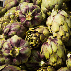 Obraz premium Carciofi Violetti freschi, Italian Slow Food 