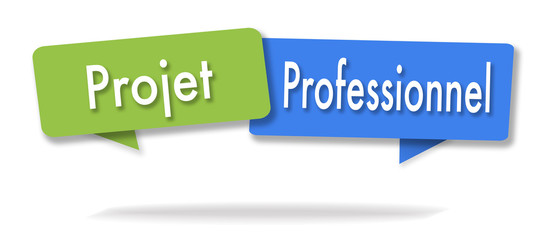 Professionnal project illustration in two colored bubbles