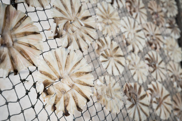 Dried fish circle, thin meat on net