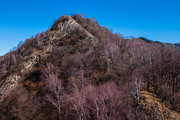 peak of rock and trees in winter