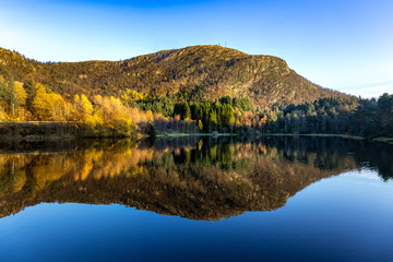 Reflectin on the lake