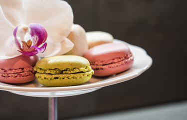 Tender pink and cream macarons and flower on black stone background. soft focus