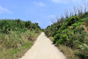 久高島の道