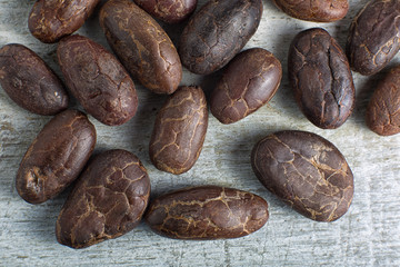 chocolate beans closeup in Ecuador