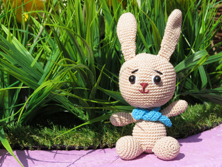 Knitted toy bunny on background of green grass. Spring or summer season concept