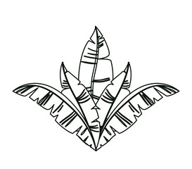 carnival feathers ornament decorative