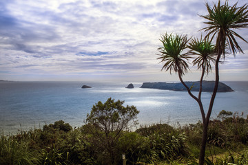 Fototapeta na wymiar Abendstimmung an Neuseelands Südküste