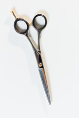 professional hair stylist scissors on white background.