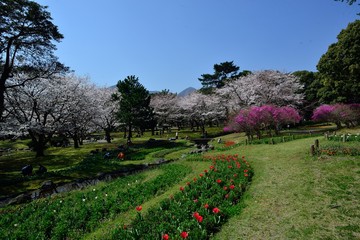 別府公園