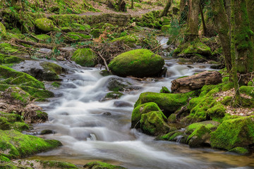Waterfalls in Geroldsau, Schwarzwald, Black Forest, Germany, Baden-Württemberg April 2018
