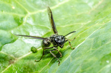  Wonderful and mysterious macro world
