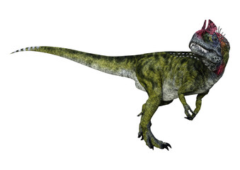 3D Rendering Dinosaur Cryolophosaurus on White