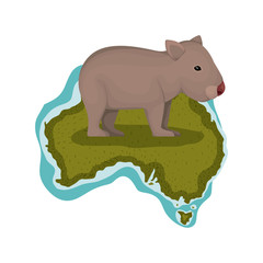 wild wombat creature over australian map