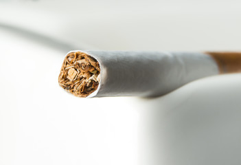 Close up of the tobacco inside a cigarette