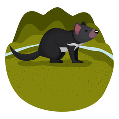 wild tasmanian devil creature in the camp