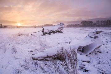 Snowy landscape in village of Ontanilla village of Soria Spain