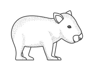 wild wombat australian creature